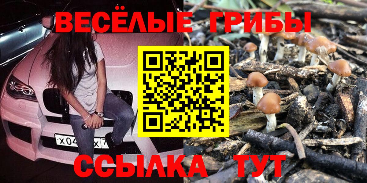 цены   Галлюциногенные грибы ЛСД  Ефремов  Вход с VPN  Галлюциногенные грибы Psilocybine cubensis 